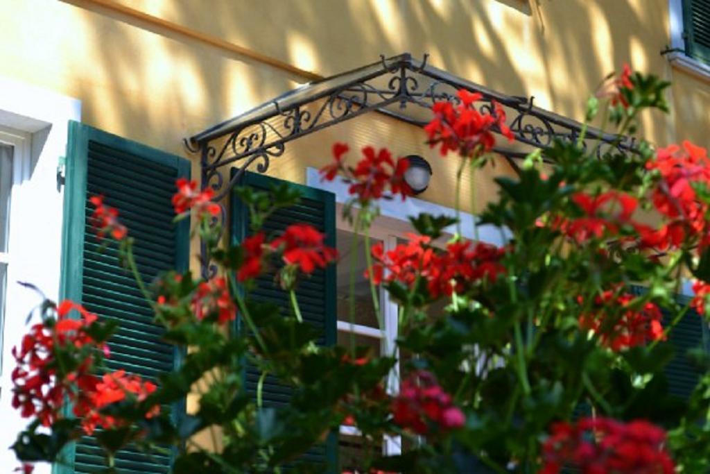 מרינה די מסה Hotel Villa Fiorisella מראה חיצוני תמונה